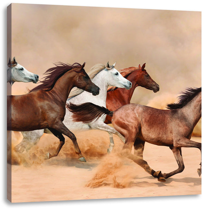 Western Pferde in Wüste, Format: 70x70 auf Leinwand, XXL riesige Bilder fertig gerahmt mit Keilrahme