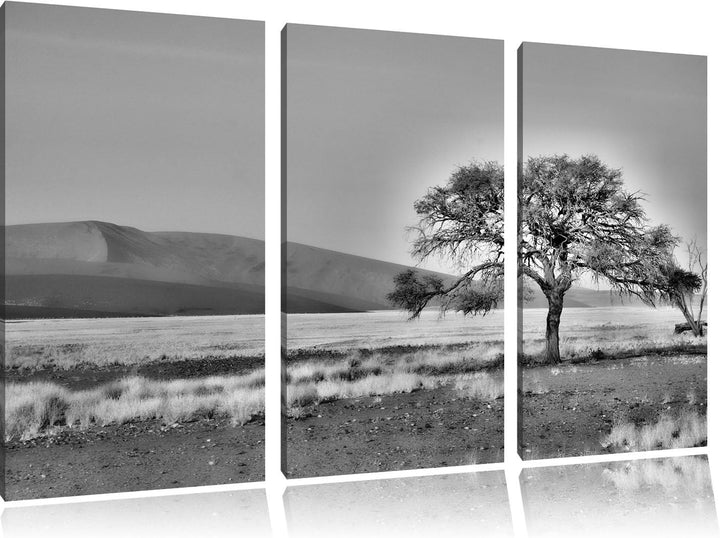 Pixxprint Monocrome, einzelner Baum in Wüste 3-Teiler Leinwandbild 120x80 Bild auf Leinwand