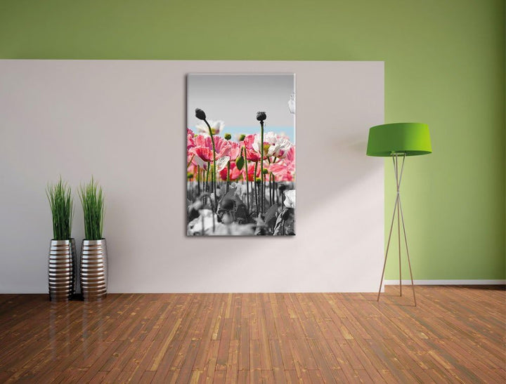 Pixxprint Blumenwiese Mohnblumen schwarz/weiss, Format: 70x100 auf hochkantiges Leinwand, 70x100