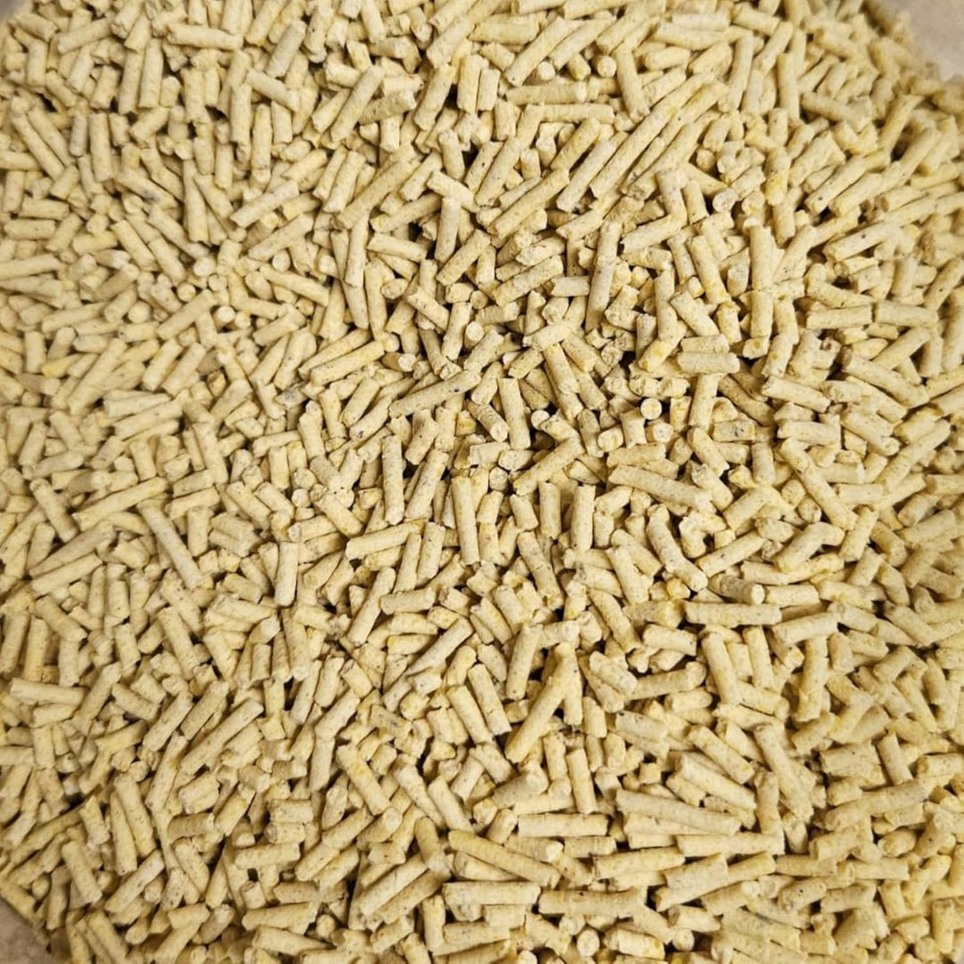 Klumpende Mais Katzenstreu 100% Pflanzlich & Biologisch Abbaubar – Extra Ergiebig & Geruchsbindend –