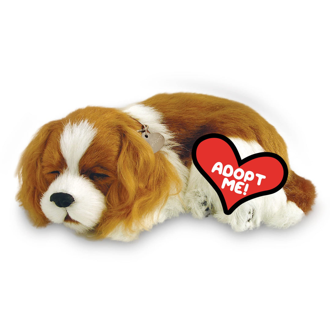 Perfect Petzzz 96309 Plüschhund Cavalier King Charles mit Körbchen, Grösse 25 cm, Kuscheltier atmet