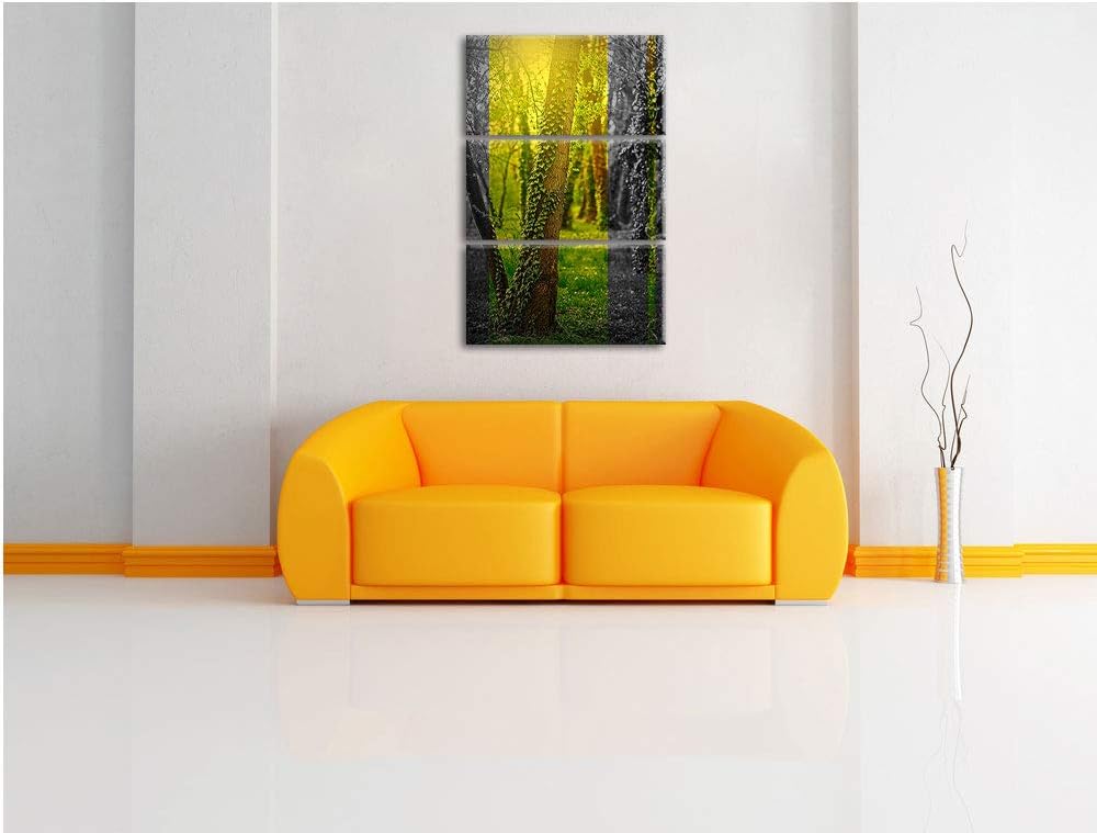 Efeuranken wachsen an Bäumen schwarz/weiss 3-Teiler Leinwandbild 120x80 Bild auf Leinwand, XXL riesi
