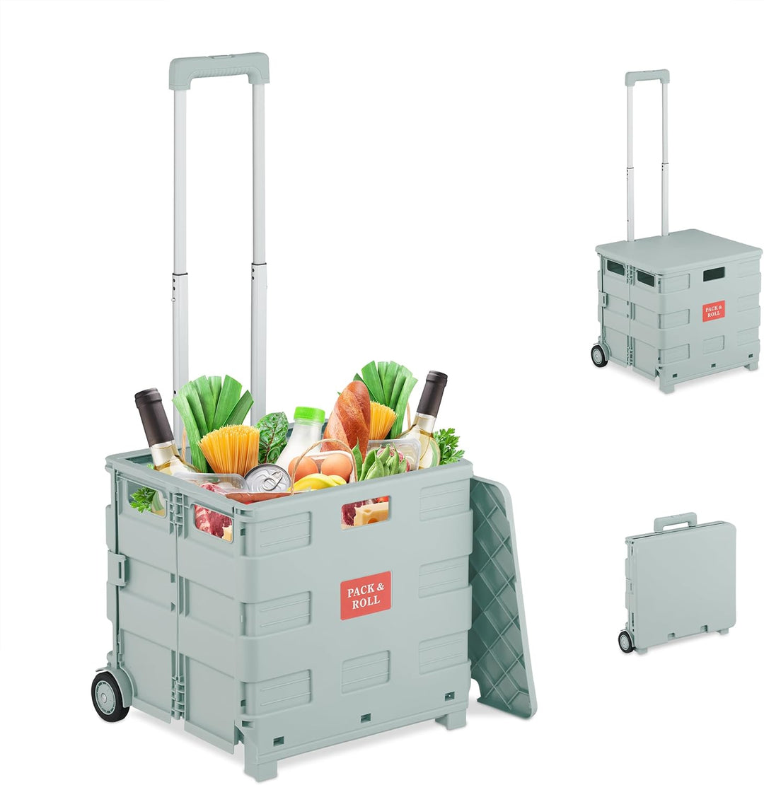 Relaxdays Einkaufstrolley, klappbar, Einkaufskorb mit Rollen, mit Deckel & Teleskopgriff, bis 35 kg,