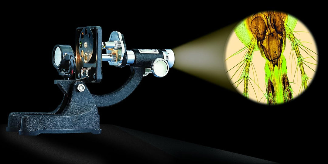 Mikroskop Zoom 100x – 900x im Handkoffer Lernmikroskop mit extra Experimentierzubehörpaket und Schut