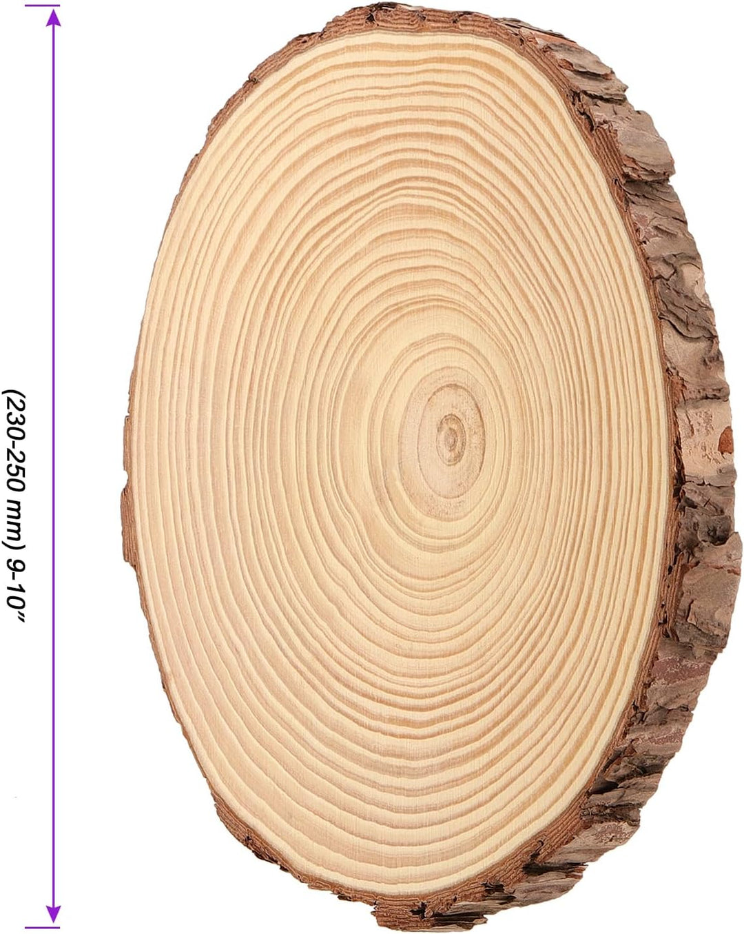 3 Stücke 23-25cm Unvollendete Holzkreise Gross Natur Holzscheiben zum Basteln, Runde Baumscheiben mi