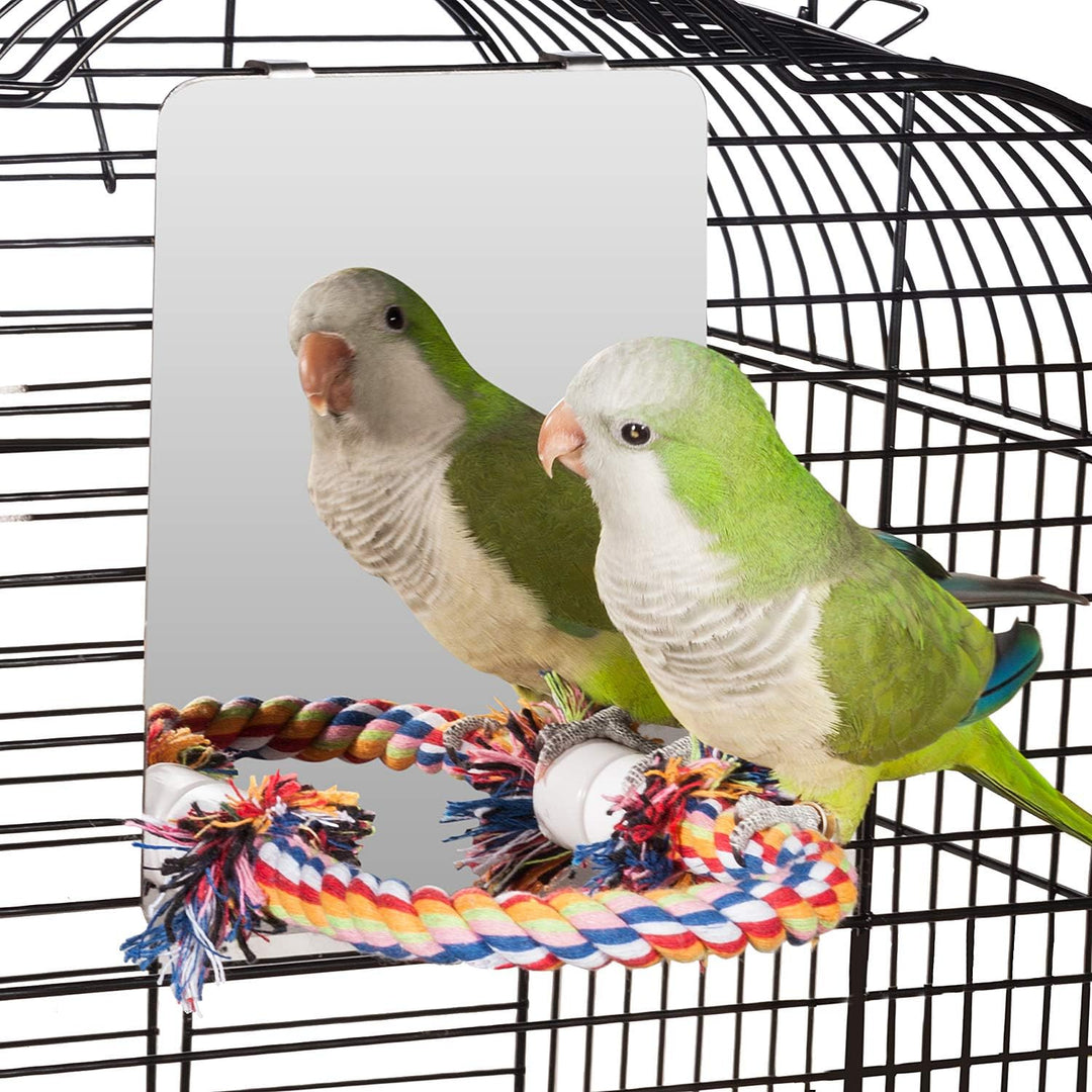 Colorday 18cm Edelstahl Vogel Spiegel mit Seil Perch, Vogelspielzeug (M) Medium, Medium