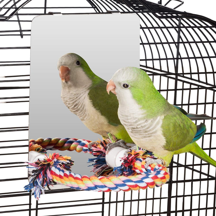 Colorday 18cm Edelstahl Vogel Spiegel mit Seil Perch, Vogelspielzeug (M) Medium, Medium