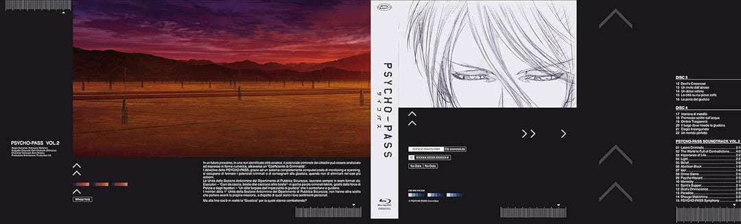 Psycho Pass Box #02 (Eps 12-22) (2 Blu-Ray+Cd) [Import italien]