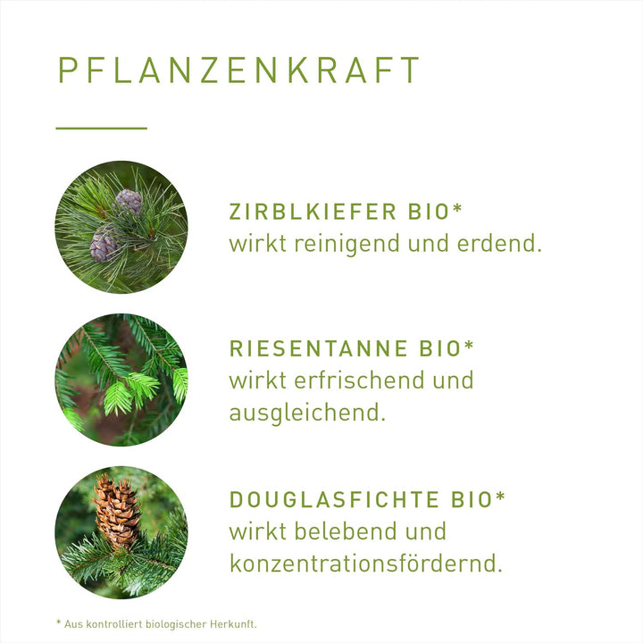 PRIMAVERA Waldgefühl Aroma Sauna bio 100 ml - Saunaöl, Aromatherapie – waldig-frischer Duft – stärke