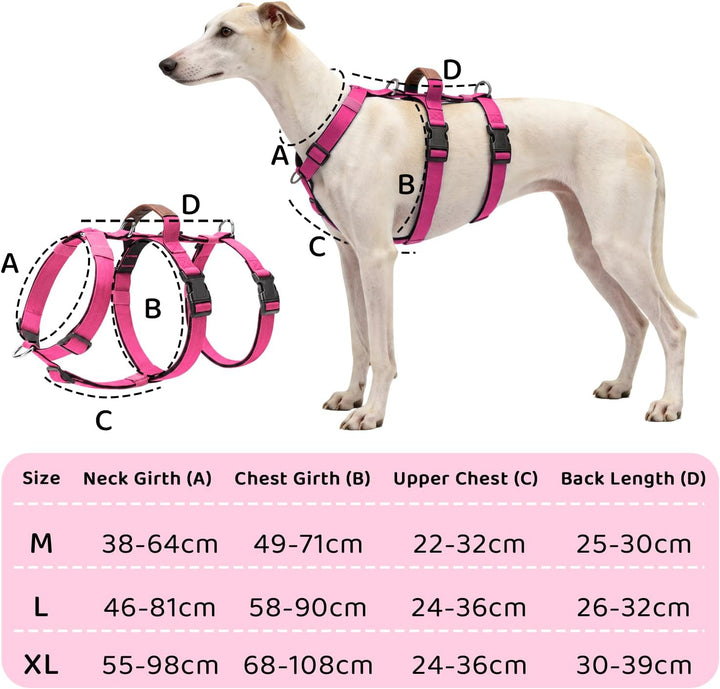 Ausbruchsicheres Hundegeschirr, Anti-Zug Verstellbares Sicherheitsgeschirr mit 3-Punkt-Design und Gr