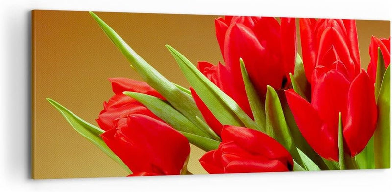 Wandbilder Dekoration Wohnzimmer Tulpen Blumen Feld Plantage Panorama Bilder auf Leinwand 120x50cm L