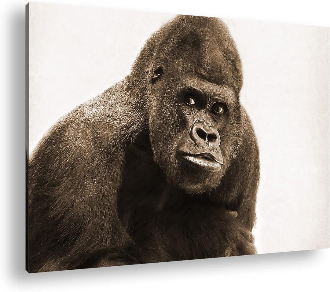 deyoli Gorilla Silberrücken Format: 100x70 Effekt: Sepia als Leinwandbild, Motiv fertig gerahmt auf