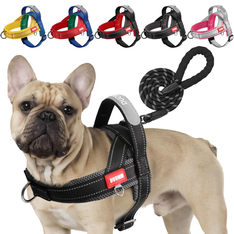 Hundegeschirr mit Leine für Mittelgrosse Kleine Hunde Welpen, Bunt Farbblock Geschirr, Mesh Gepolste