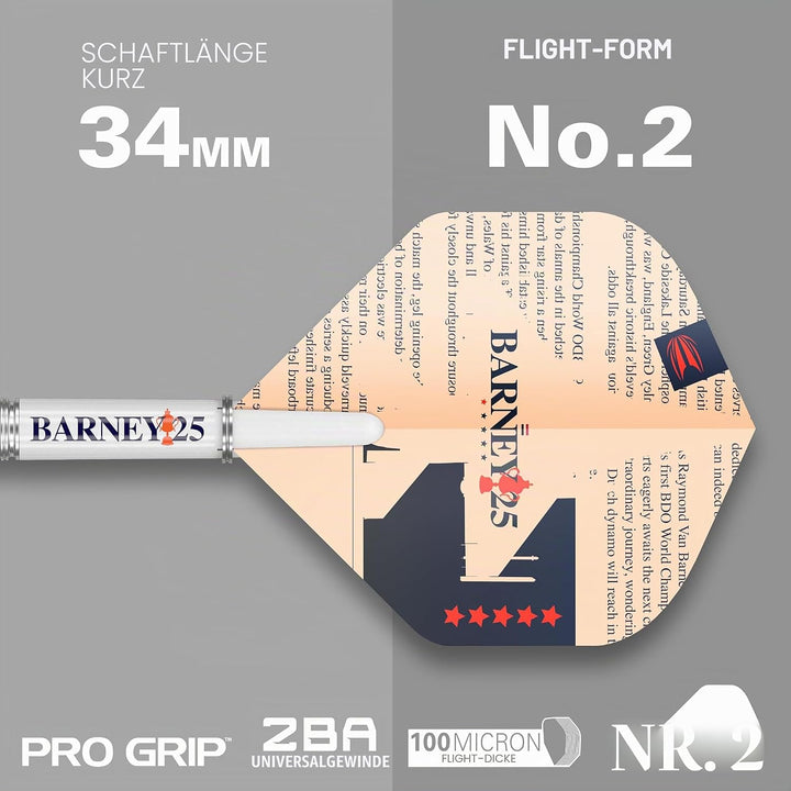 Target Darts Raymond Van Barneveld RVB 25 Year Edition 95% Wolfram Soft Tip Darts Set 20G, 20G