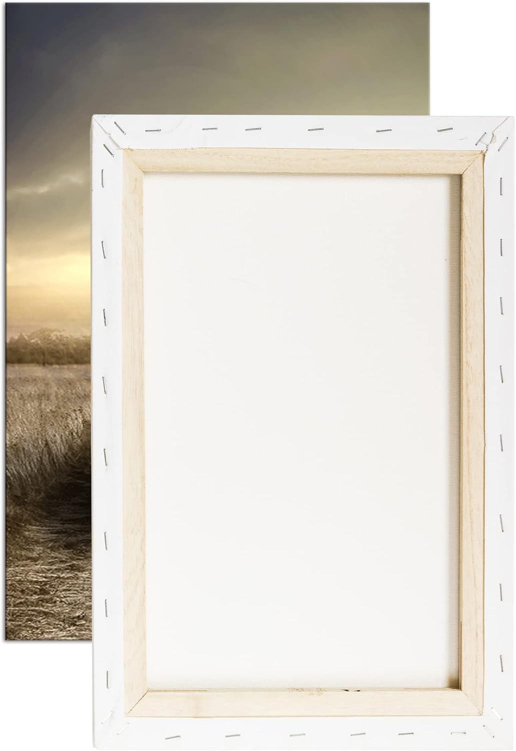 deyoli einsamer Gepard in schöner Landschaft im Format: 100x70 als Leinwandbild, Motiv fertig gerahm