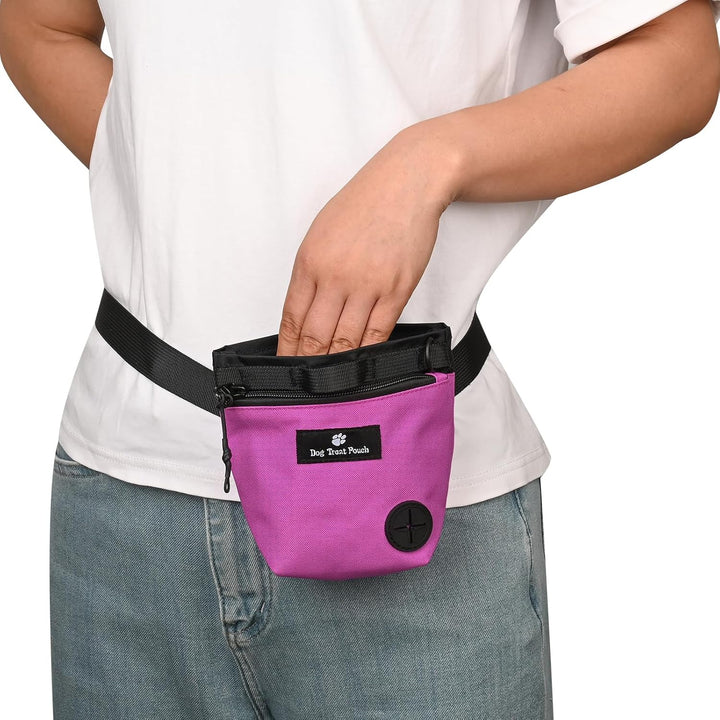 Hundetrainingstasche mit Magnetverschluss, Hüfttasche für das Training von Haustieren im Freien, mit
