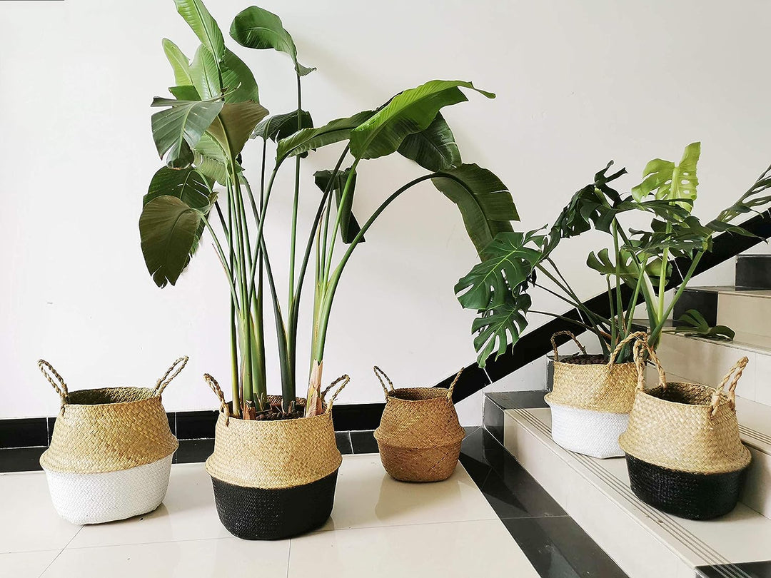 DOKOT Seegras Korb Blumentopf Naturkorb Gewebt Wäschekorb Mit Griff für Pflanze Spielzeug Aufbewahru