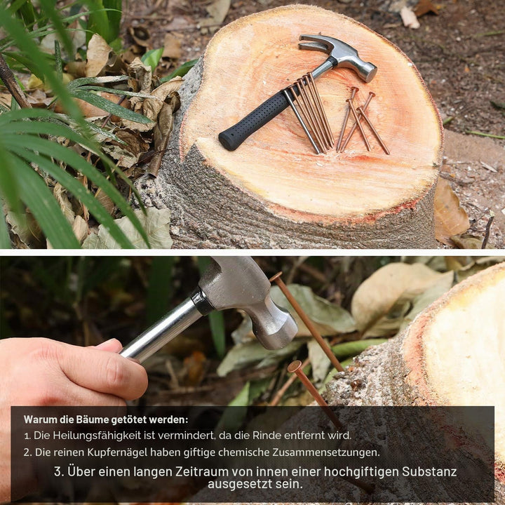 100 mm 12 Stück lange Kupfernägel zum Töten von Bäumen mit 1 Stück 4 Zoll Stahlnägel, Aufbewahrungsb
