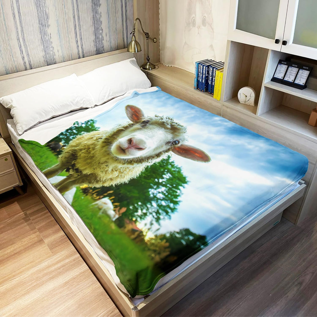 YISUMEI Decke 150x200 cm Kuscheldecken Sanft Flanell Weich Fleecedecke Nettes Schaf Muster 150 x 200