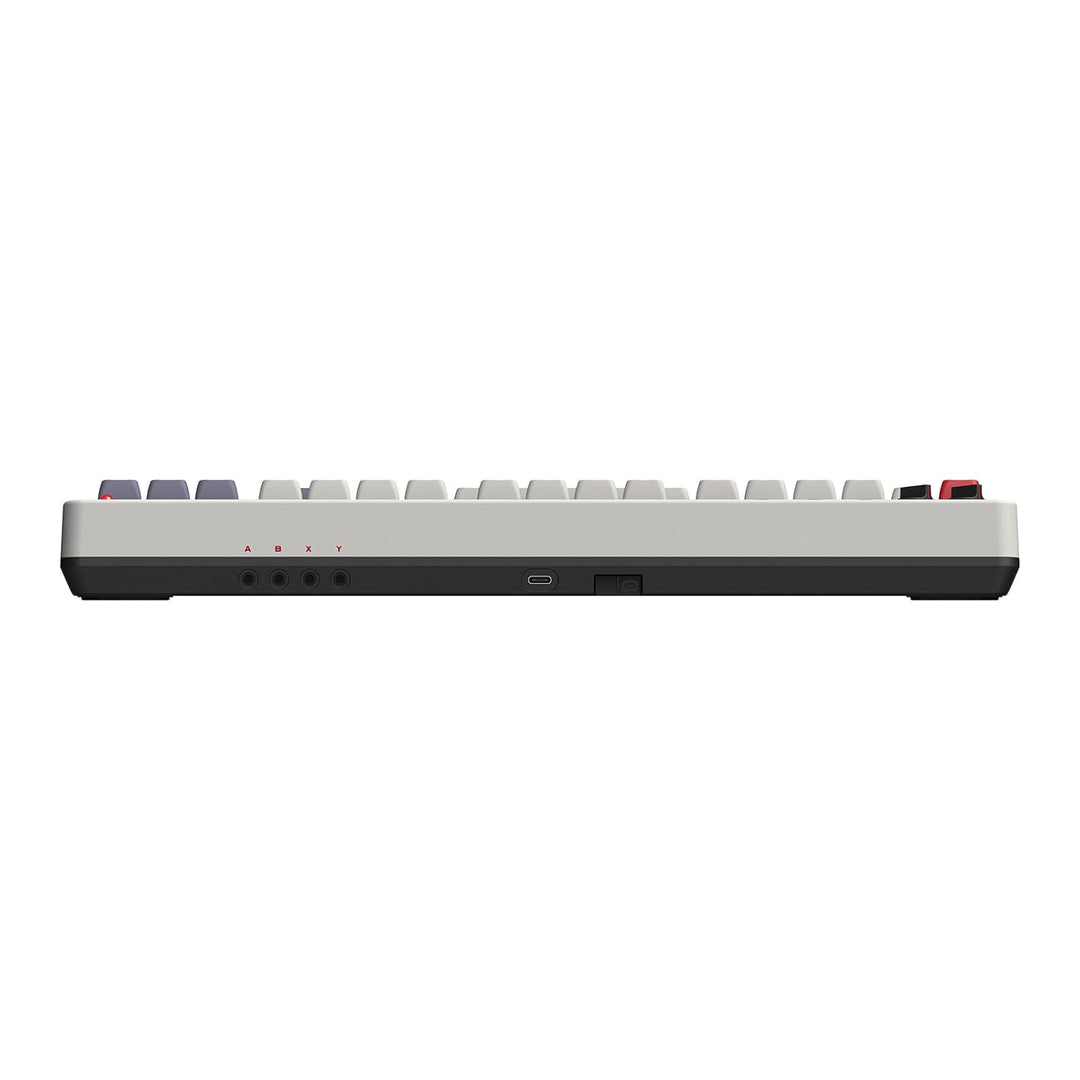 8Bitdo Retro Mechanical Keyboard, Bluetooth/2.4G/USB-C Hot Swappable Gaming Keyboard with 87 Keys, D