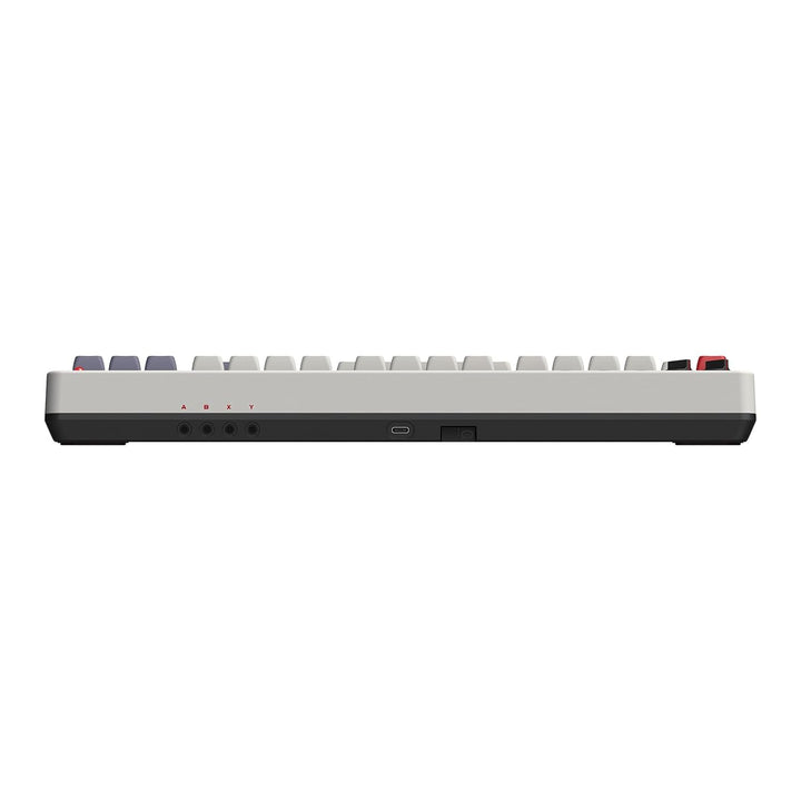 8Bitdo Retro Mechanical Keyboard, Bluetooth/2.4G/USB-C Hot Swappable Gaming Keyboard with 87 Keys, D
