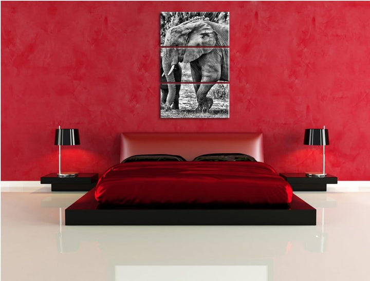 Pixxprint Elefantenkuh mit Jungtier als Leinwandbild/Grösse: 3 Teilig (120x80) cm/Wandbild/Kunstdruc