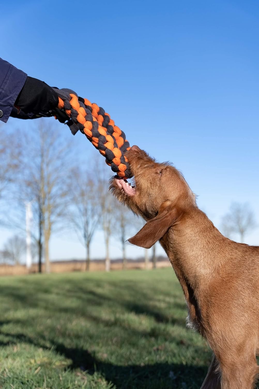 TrendPet Zergel, Zerrspielzeug, Spielzeug für Hunde (5,0x50cm), 5,0x50cm