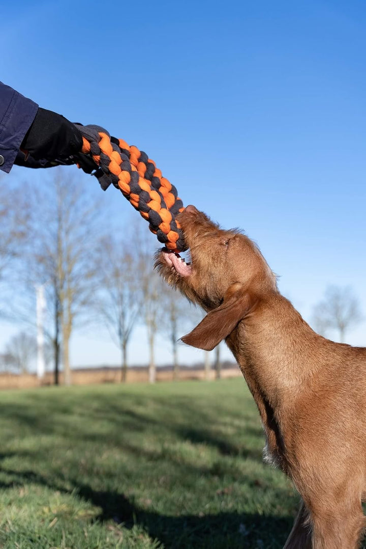 TrendPet Zergel, Zerrspielzeug, Spielzeug für Hunde (5,0x50cm), 5,0x50cm