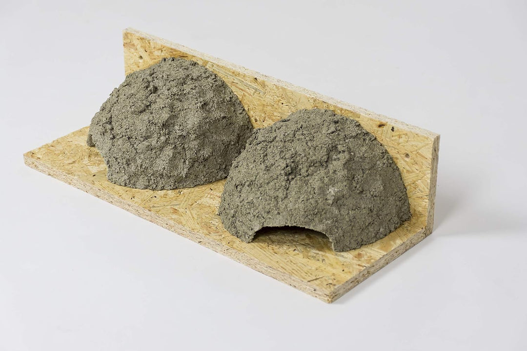 Mehlschwalbendoppelnest, Schwalbennest, Nistkasten, Nisthilfe, Mehlschwalbennest