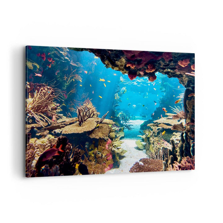 Bilder auf Leinwand 100x70cm Leinwandbild Ozean Riff Fische Koralle Gross Wanddeko Bild Schlafzimmer