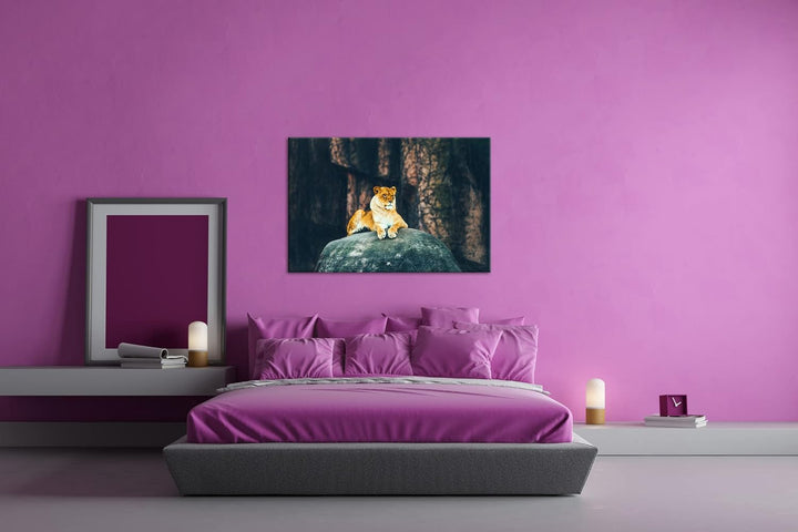 deyoli erhabene stolze Löwin Format: 100x70 als Leinwand, Motiv fertig gerahmt auf Echtholzrahmen, H