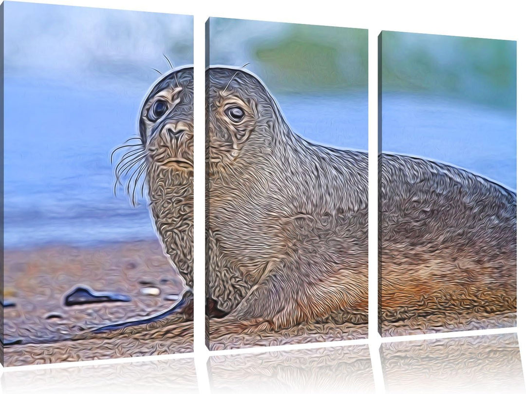 niedliche Robbe am Strand NewArt 3-Teiler Leinwandbild 120x80 Bild auf Leinwand, XXL riesige Bilder