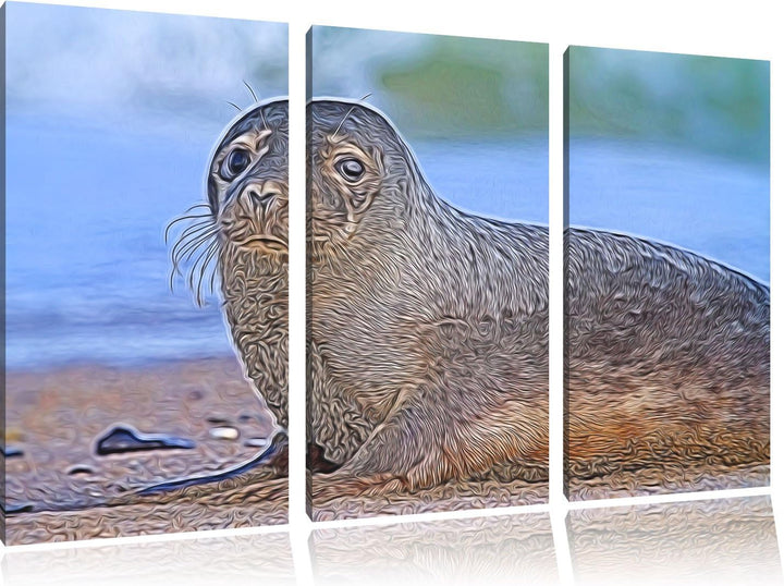 niedliche Robbe am Strand NewArt 3-Teiler Leinwandbild 120x80 Bild auf Leinwand, XXL riesige Bilder