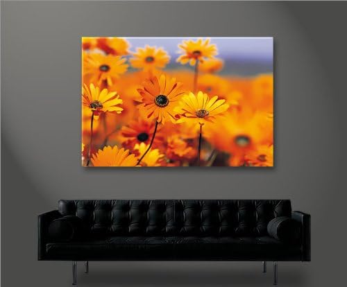 islandburner Bild Bilder auf Leinwand Pretty Blumen Margeriten XXL Poster Leinwandbild Wandbild Deko