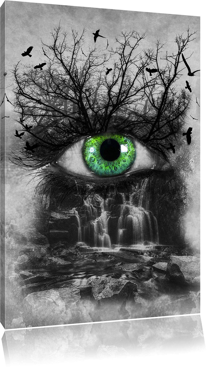 Auge verbunden mit schöner Natur schwarz/weiss Format: 100x70 auf Leinwand, XXL riesige Bilder ferti