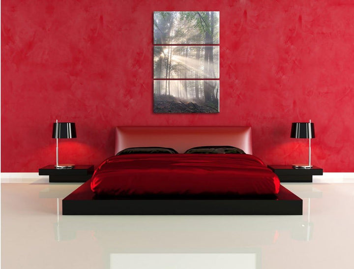 Pixxprint diesiger Waldweg als Leinwandbild/Grösse: 3 Teilig (120x80) cm/Wandbild/Kunstdruck/fertig