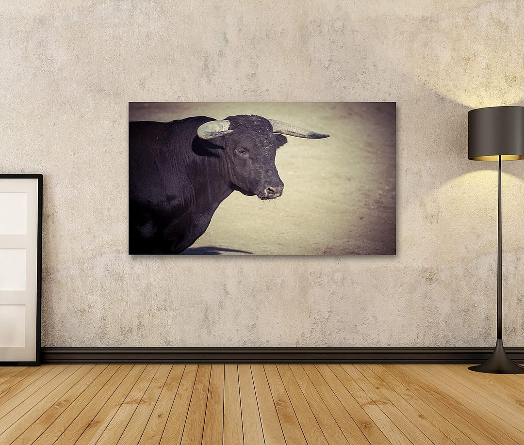 islandburner Bild auf Leinwand Stier Auf Sandboden In Spanien Bilder Wandbilder Poster Leinwand 100x