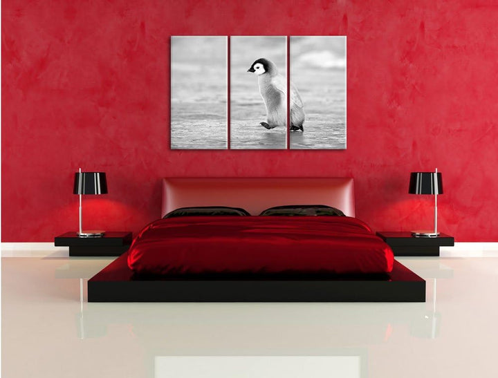 Pixxprint Kaiserpinguinkücken als Leinwandbild/Grösse: 3 Teilig (120x80) cm/Wandbild/Kunstdruck/fert