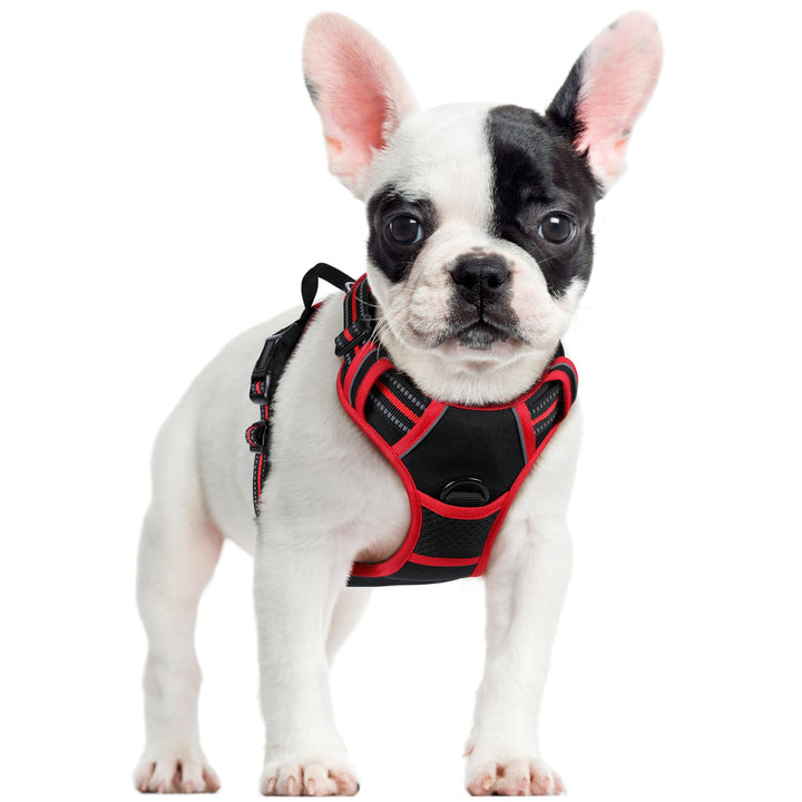 rabbitgoo Hundegeschirr Mittelgrosse Hunde, Anti Zug Geschirr mit Kontrolle, No Pull Verstellbar Hun