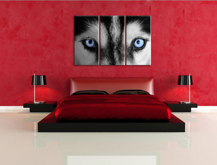 Pixxprint Eisblaue Huskyaugen als Leinwandbild/Grösse: 3 Teilig (120x80 cm) cm/Wandbild/Kunstdruck/f