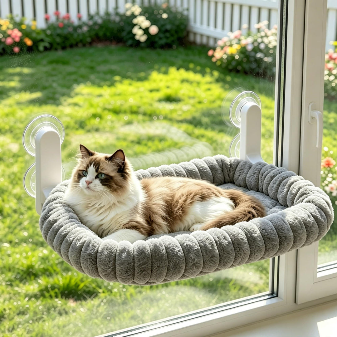 Katzen Fensterliege Faltbar mit 4 Saugnäpfen, weiche Kuschelliege & atmungsaktive Netzseite, extra g
