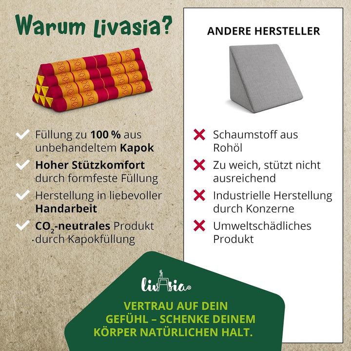 livasia Rückenstützkissen breit für Paare, Dreieckskissen für Garten und Balkon, Keilkissen mit Kapo