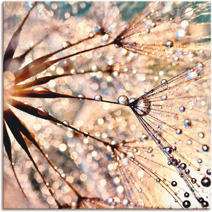 ARTland Leinwandbilder Wandbild Bild auf Leinwand 50x50 cm Wanddeko Blumen Pusteblume Botanik Wasser