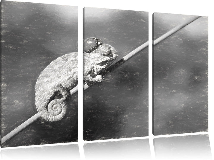 Pixxprint Gecko mit einem Marienkäfer / 3-Teilig/Gesamtmass 120cm Leinwandbild bespannt auf Holzrahm