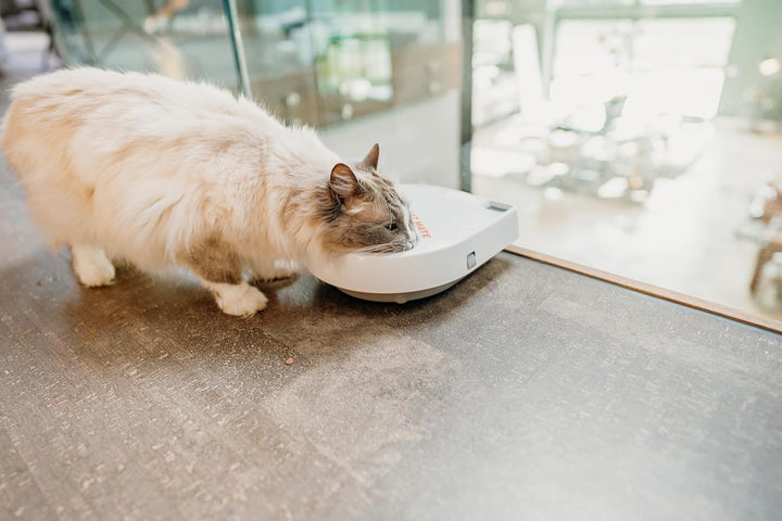 Kerbl Cat Mate Futterautomat C300 (für Hunde + Katzen, 3 Futter-Fächer für je 330 g Tierfutter, mit