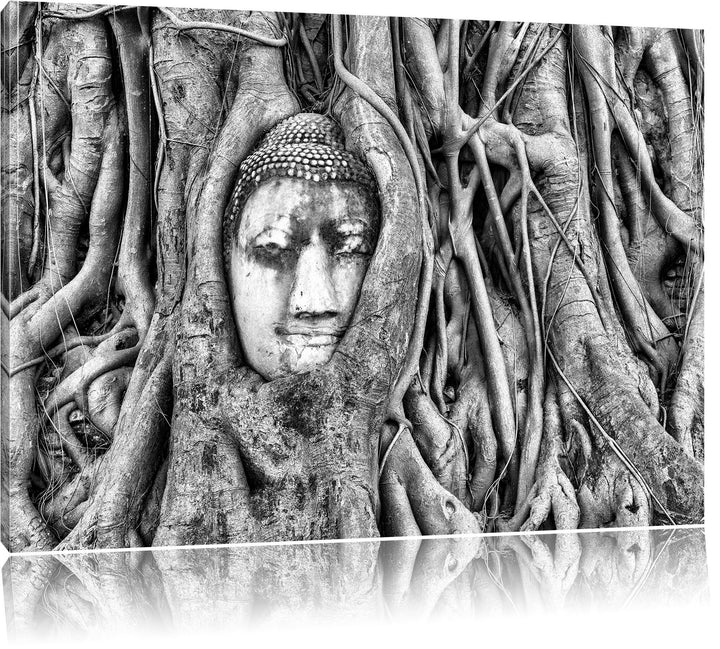 Pixxprint Monocrome, Buddha Kopf verwachsen im Baum, Format: 100x70 auf Leinwand, 100x70