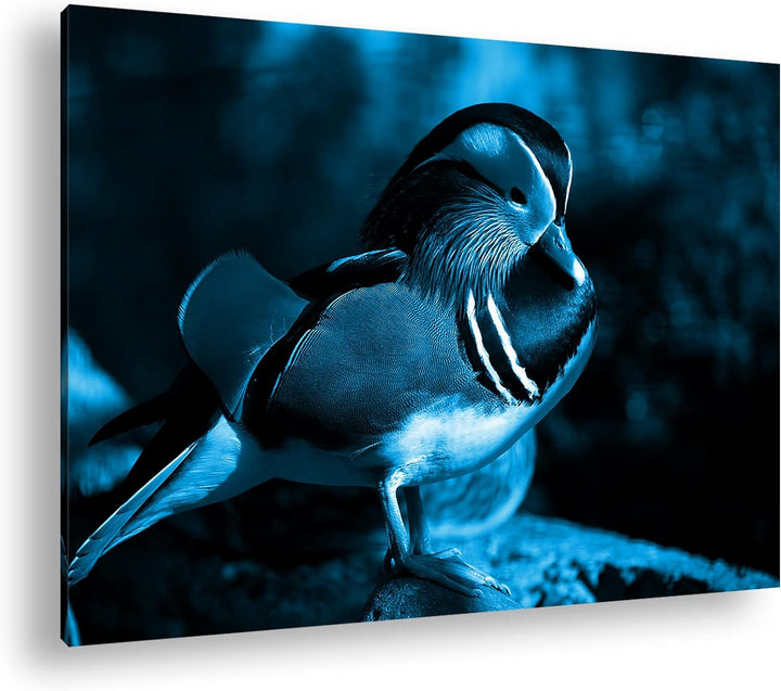 deyoli niedliche Holzente Format 80x60 Effekt: Monocrome Blau als Leinwandbild, Motiv fertig gerahmt