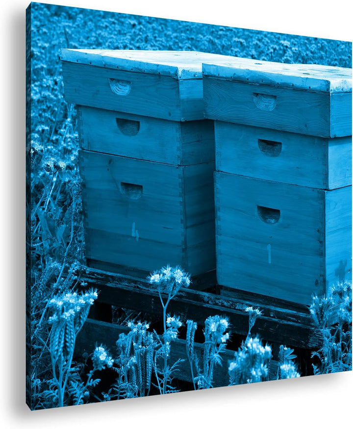 deyoli Bienenstock auf der Blumenwiese Format: 40x40 Effekt: Monocrome Blau als Leinwand, Motiv fert