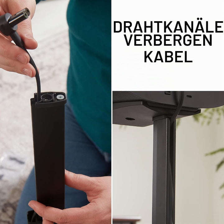 Sanus Lautsprecherständer für Sonos Era 300 Single WSSE31, Feste Höhe Schwarz, Schwarz