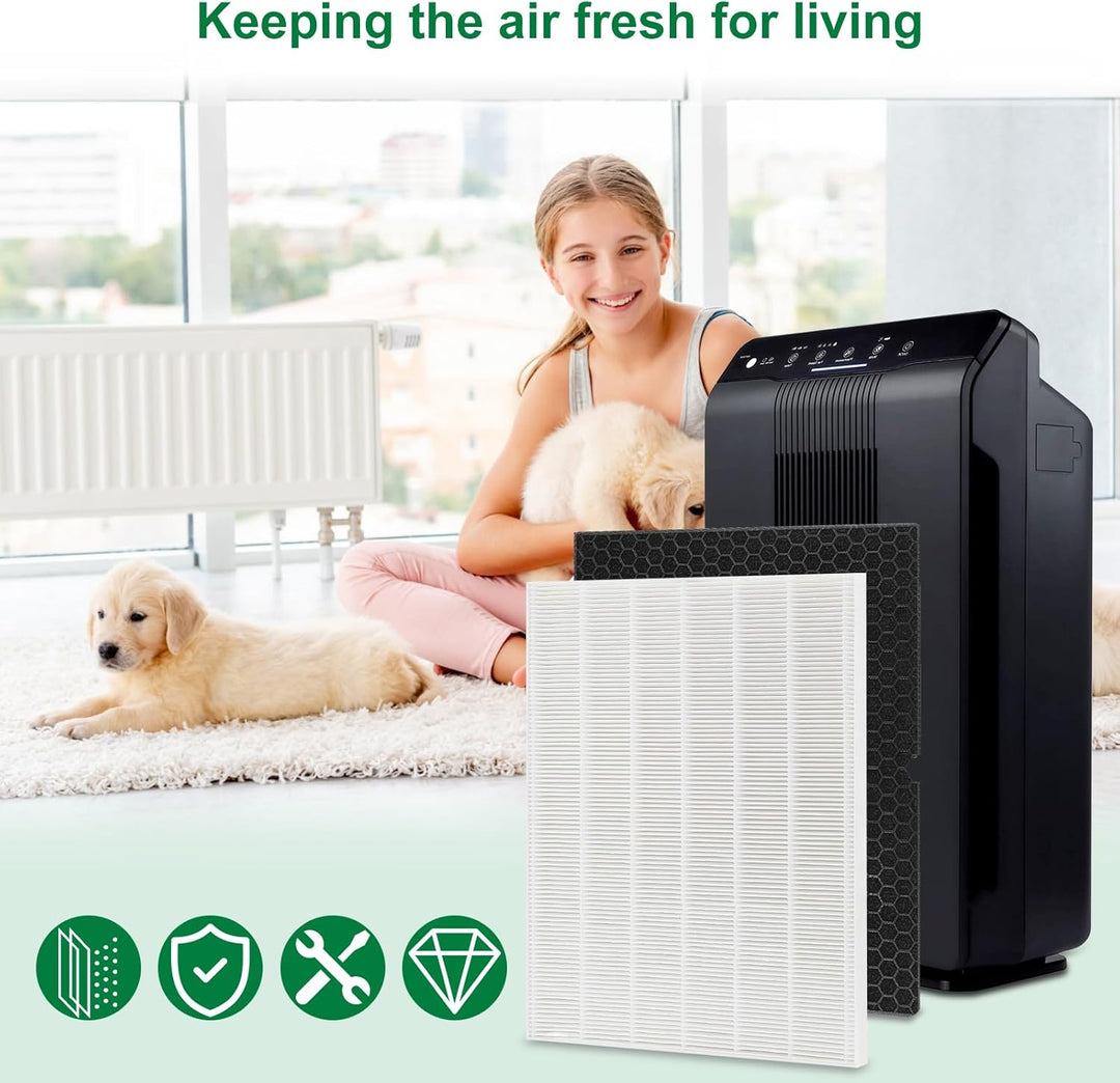 116130 Ersatzfilter H für Winix 5500-2 AM80 Luftreiniger, echte HEPA-Aktivkohle-Vorfilter, 2 Stück w